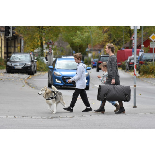 TAMI M - Auto & Home Hundebox aufblasbar mit Airbagfunktion